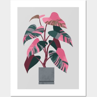 Philodendron pink princess Posters and Art